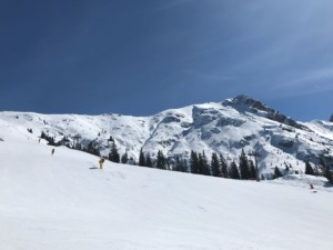 WhatsApp Image 2018 03 23 At 13.47.11 (1)