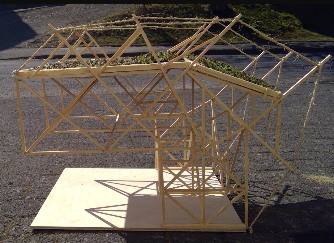 MicrosoftTeams Image (8)