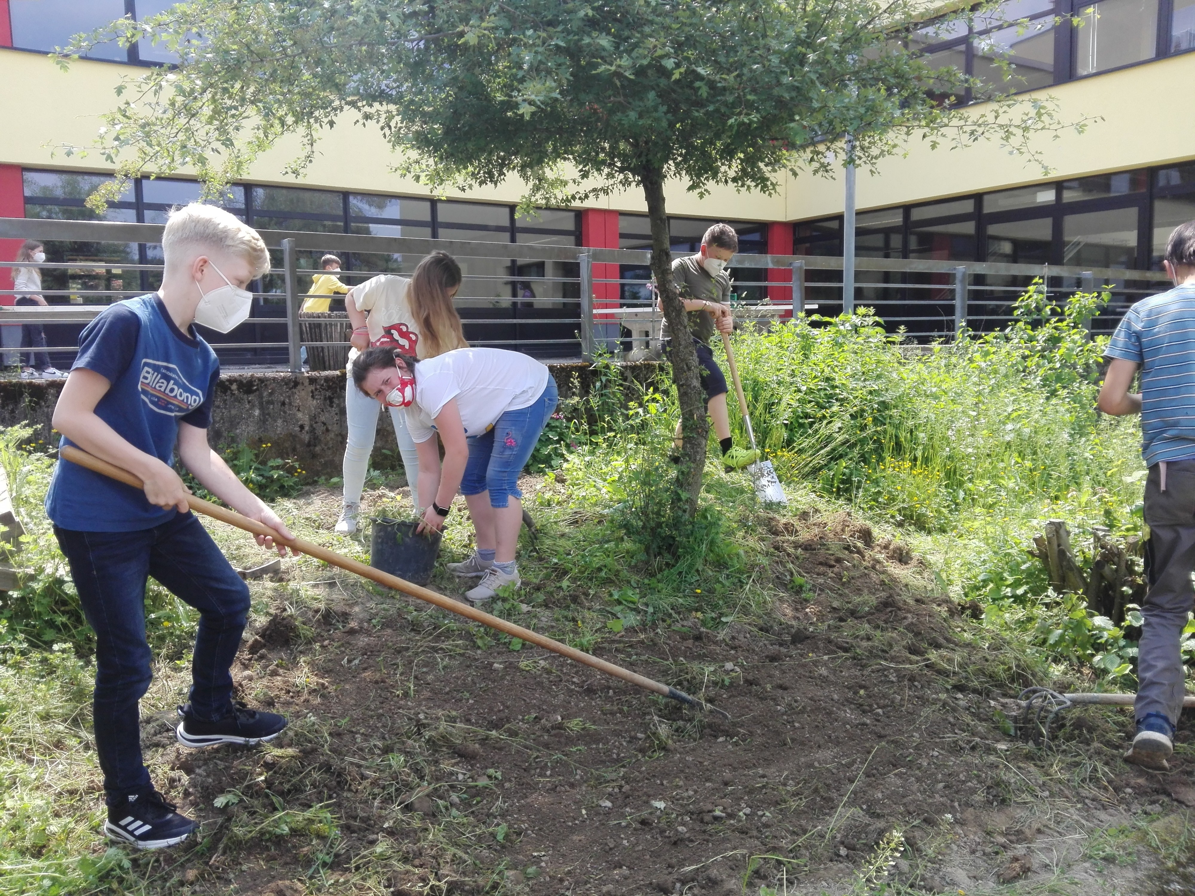 MicrosoftTeams Image (11)