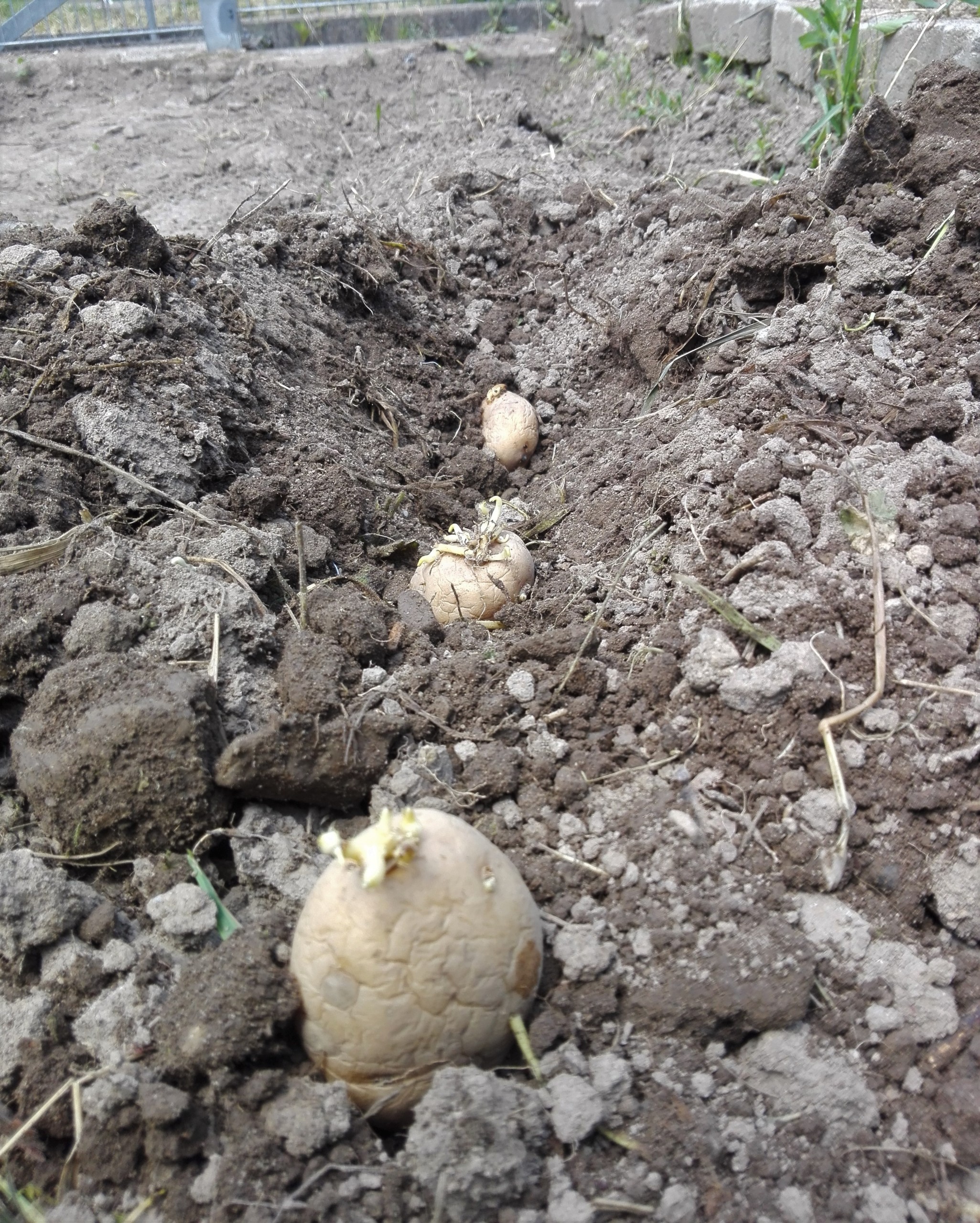 MicrosoftTeams Image (13)