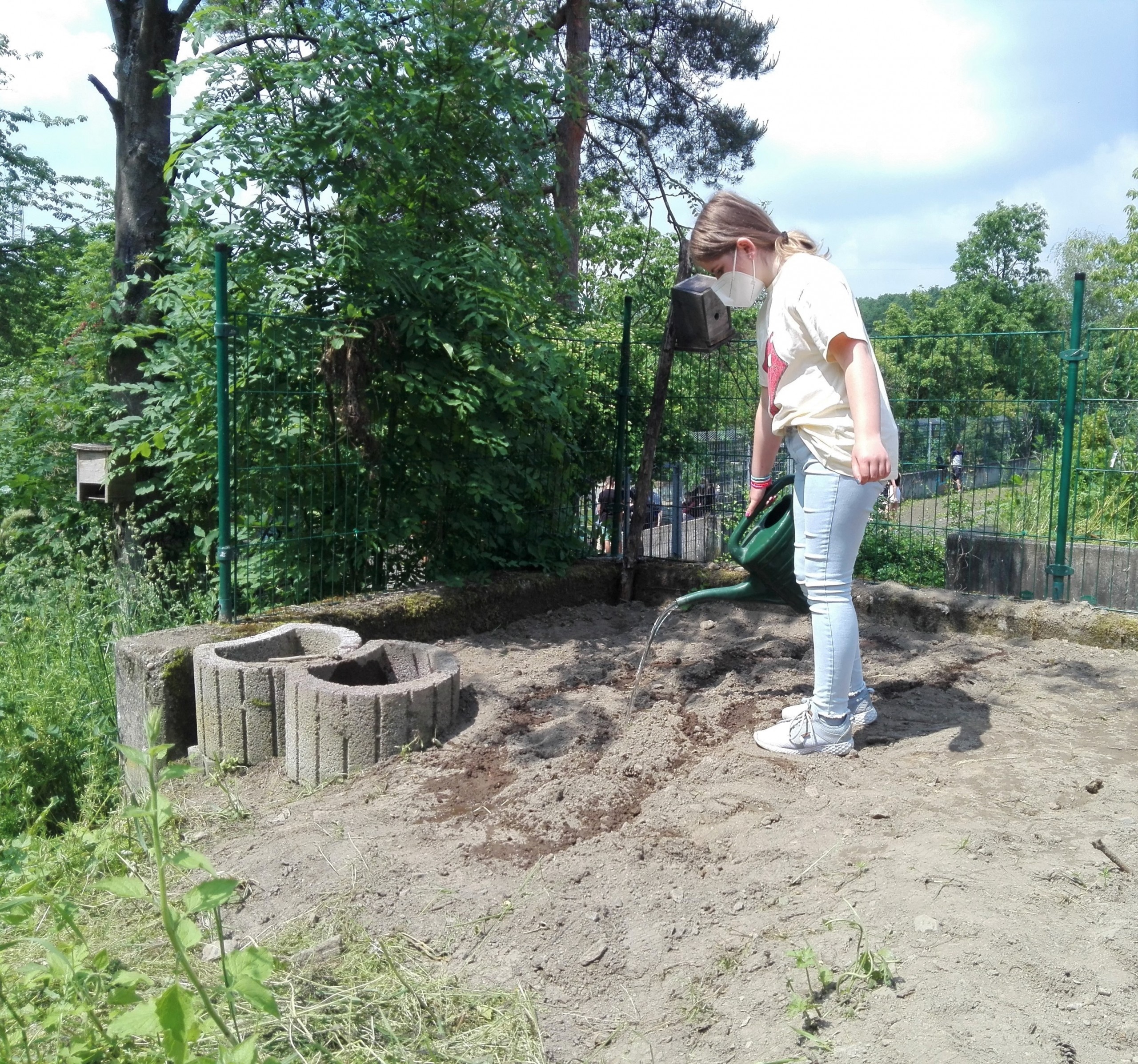 MicrosoftTeams Image (14)