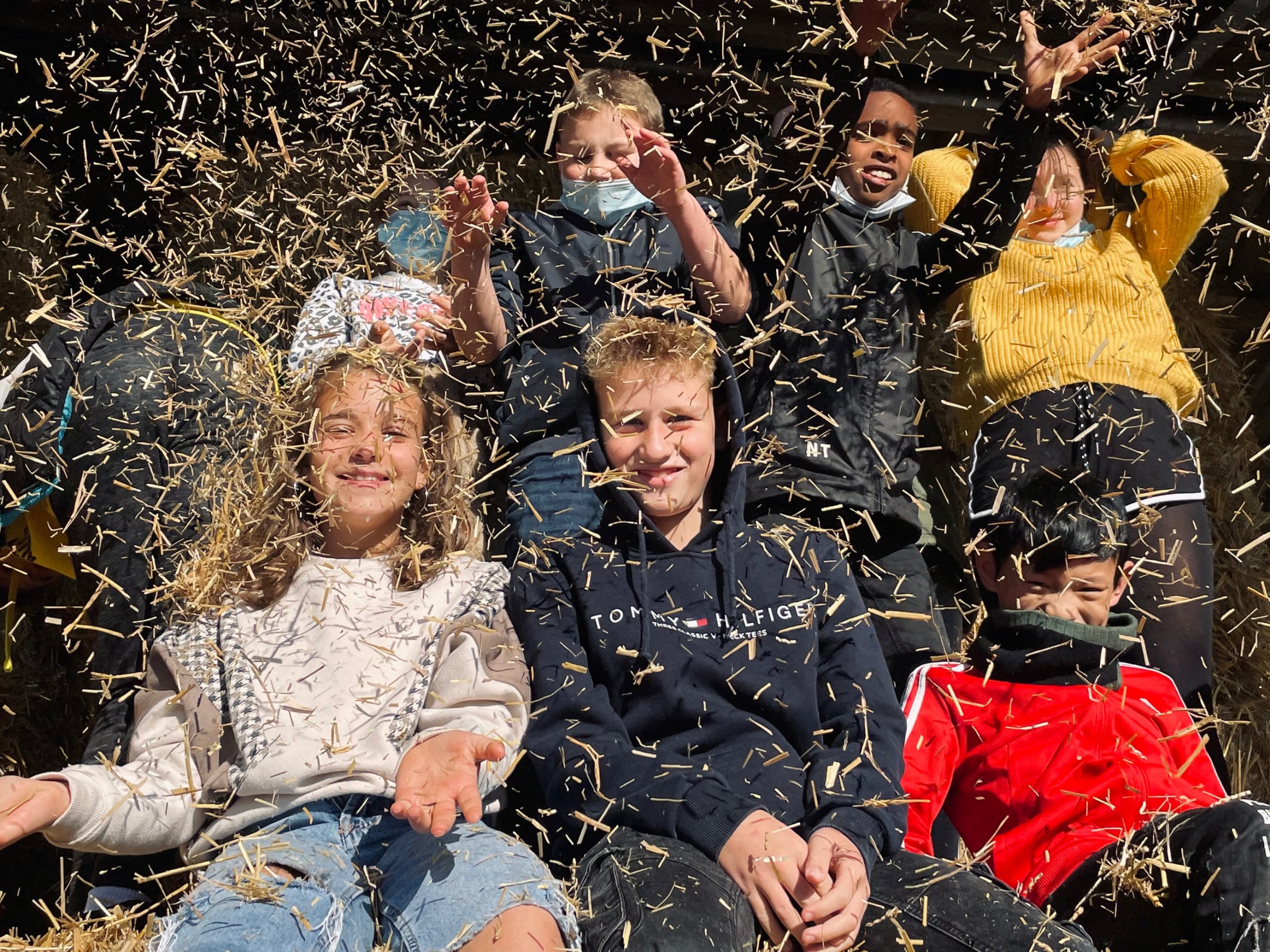 MicrosoftTeams Image (49)