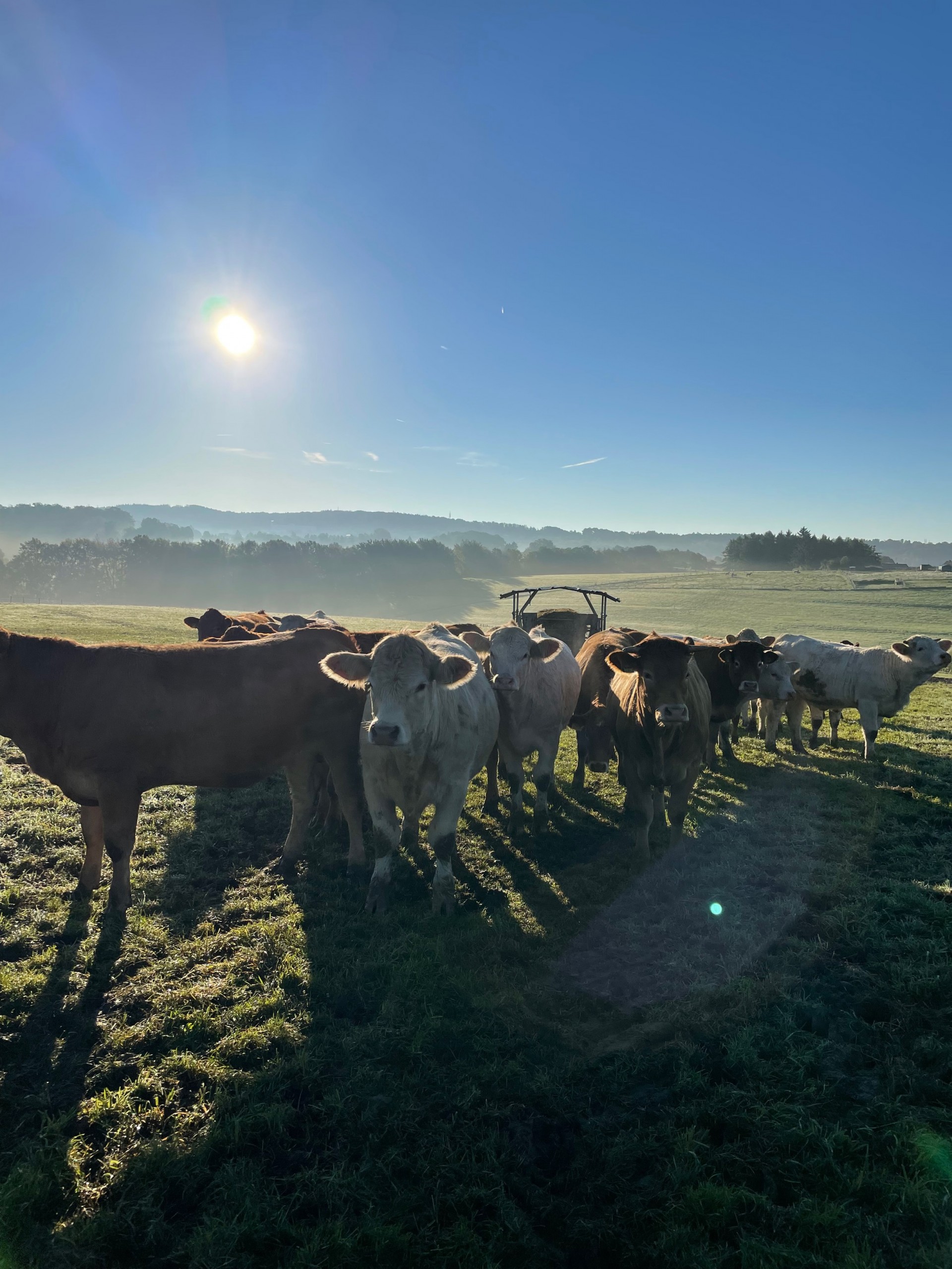 MicrosoftTeams Image (51)