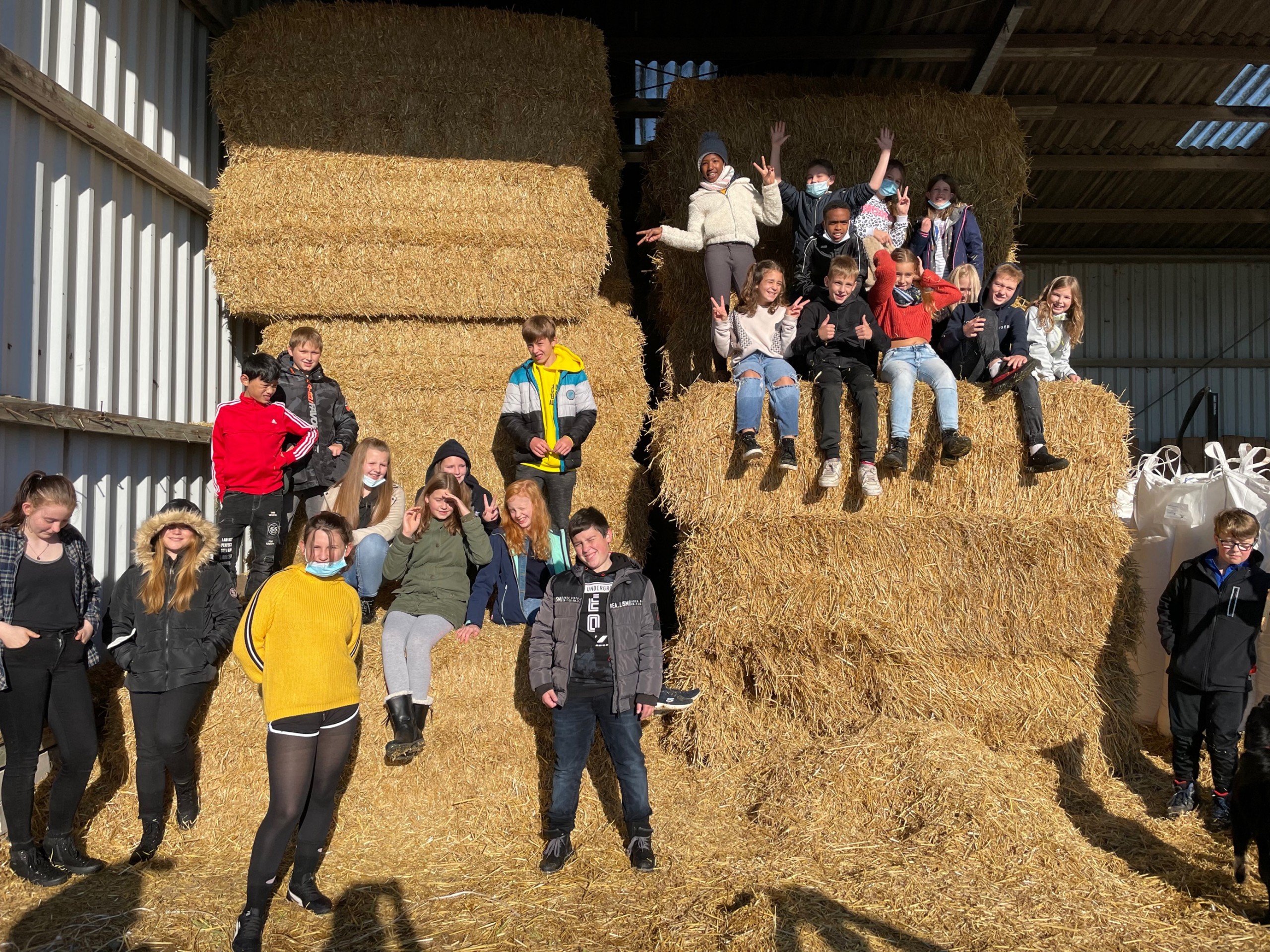 MicrosoftTeams Image (52)