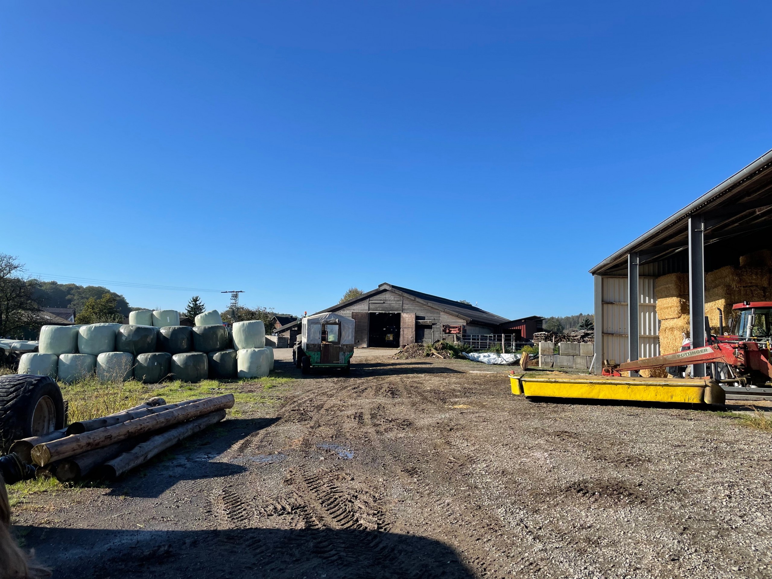 MicrosoftTeams Image (55)