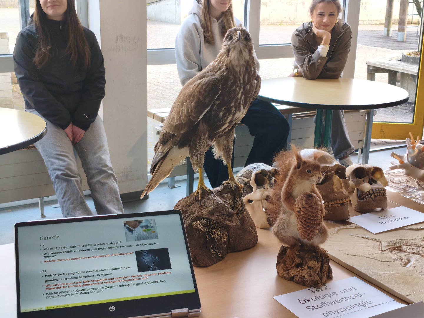 Stand eines Biologiekurses mit Präparaten und Modellen; Schüler:innen informieren über Inhalte wie Genetik und Evolution.